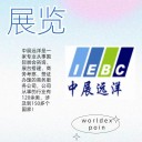 中展远洋商务咨询(北京)有限公司