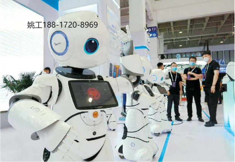 北京机器人展2024世界机器人大会