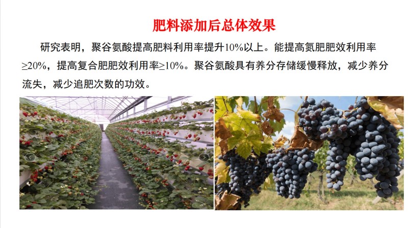 聚谷氨酸水溶性纳豆菌胶增效增产农业级聚谷氨酸土壤保湿