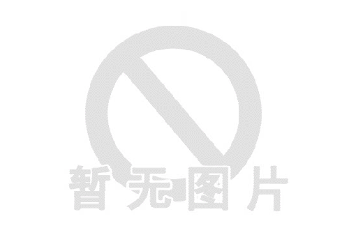 重庆国际管网展览会-报名通知2024.10.11-13