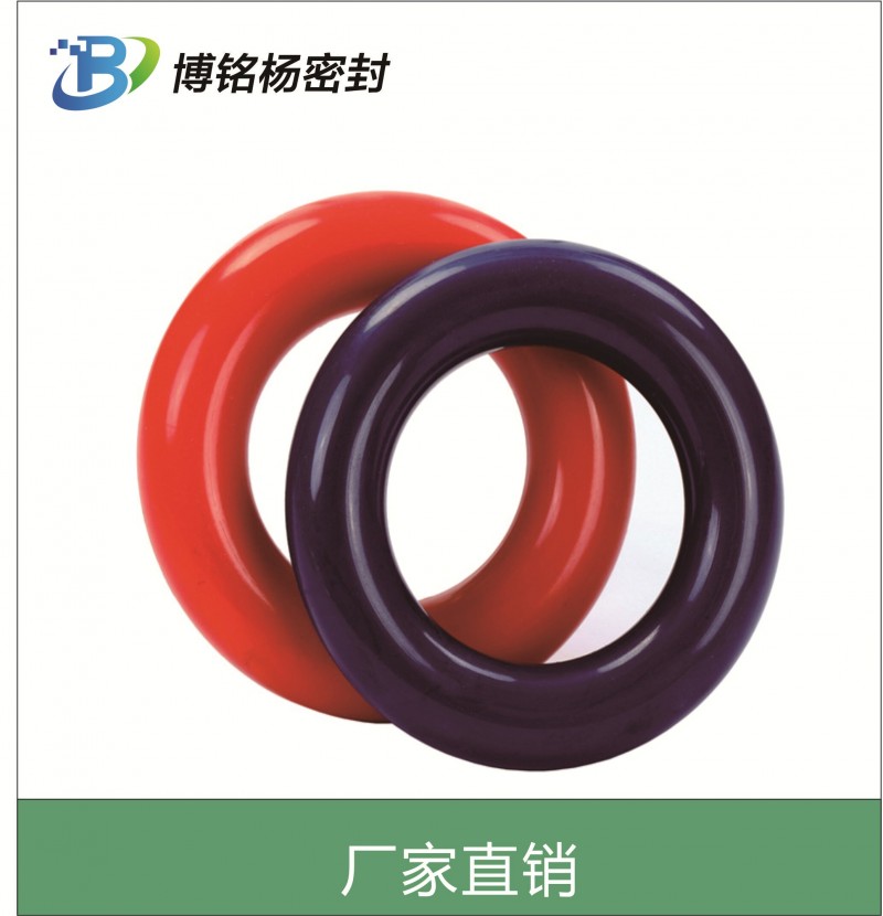 PTFE/FPA/FEP包覆圈特氟龙密封圈EPDM/NBR