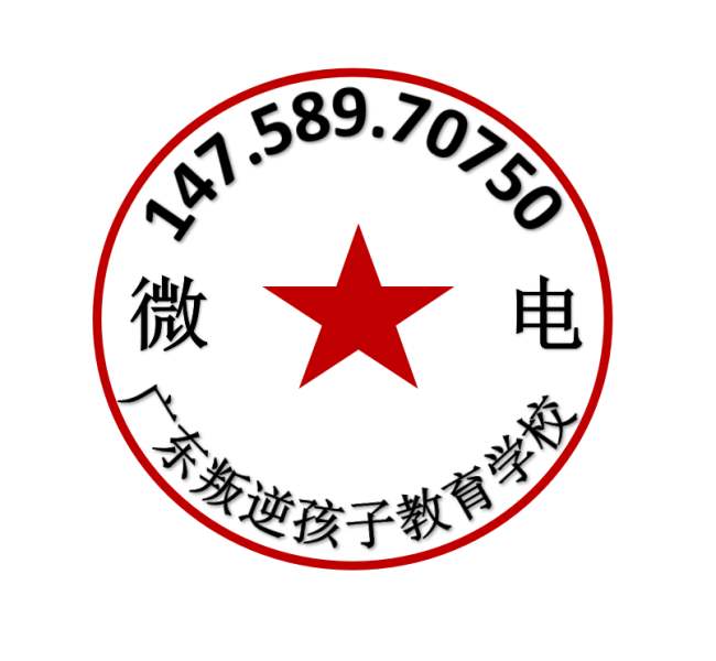 正规广东叛逆少年教育学校智德教育