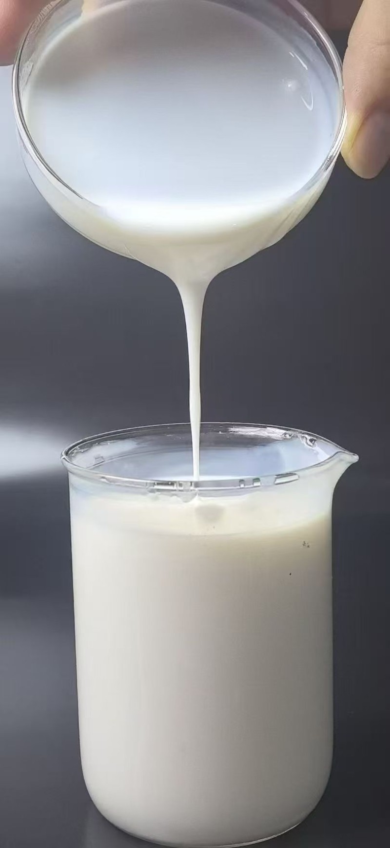 界面剂封闭底漆乳液